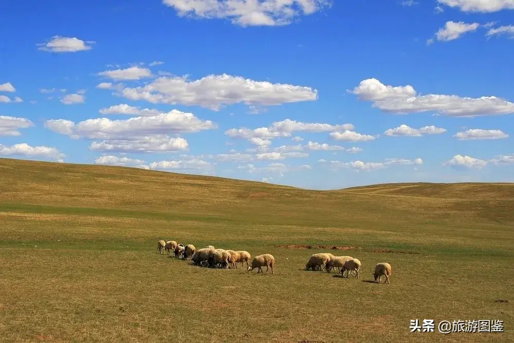 亚洲草原天堂-天堂草原——希拉穆仁
