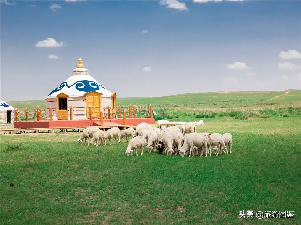 亚洲草原天堂-天堂草原——希拉穆仁