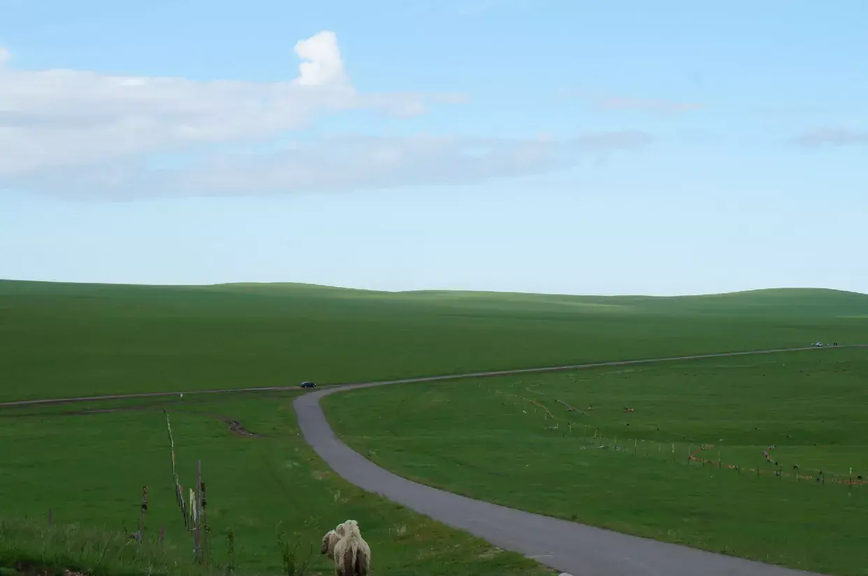 亚洲草原天堂-呼伦贝尔大草原：远离城市喧嚣的天堂草原