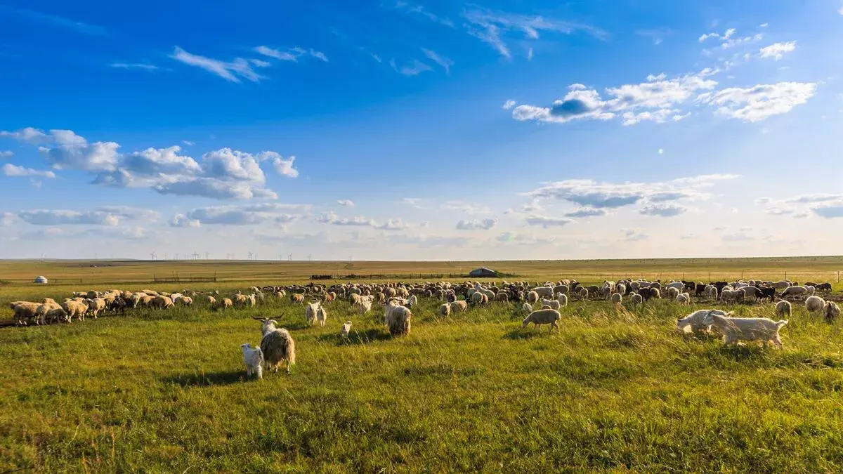 亚洲草原天堂-呼伦贝尔大草原：远离城市喧嚣的天堂草原