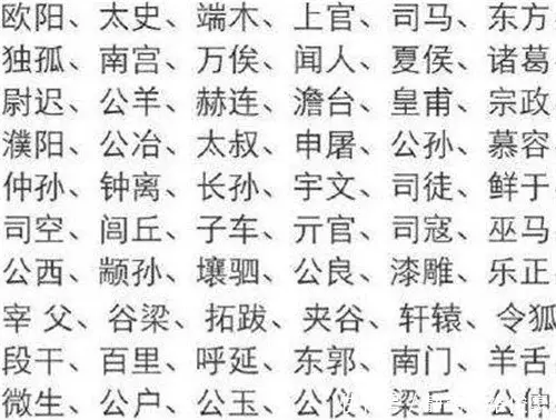 符姓有皇族血统吗-我国有一复姓,极为霸气,史书上仅记载过一次,是你的姓吗?